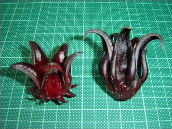 Sorrel in India